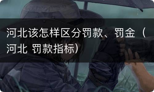 河北该怎样区分罚款、罚金（河北 罚款指标）