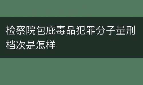 检察院包庇毒品犯罪分子量刑档次是怎样