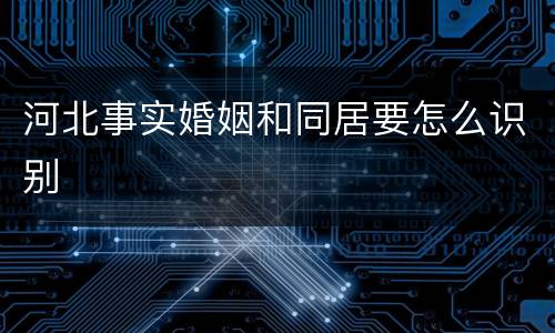 河北事实婚姻和同居要怎么识别