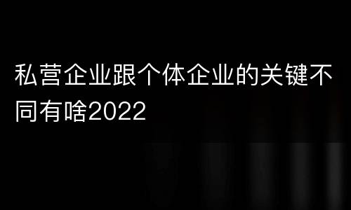 私营企业跟个体企业的关键不同有啥2022