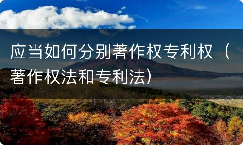 应当如何分别著作权专利权（著作权法和专利法）