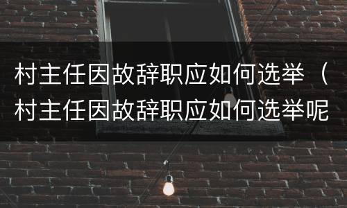 村主任因故辞职应如何选举（村主任因故辞职应如何选举呢）