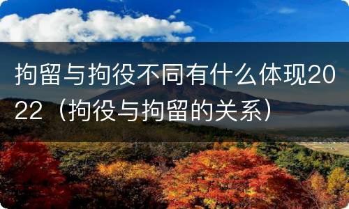 拘留与拘役不同有什么体现2022（拘役与拘留的关系）