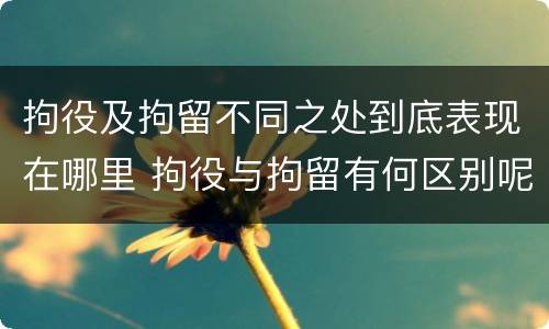 拘役及拘留不同之处到底表现在哪里 拘役与拘留有何区别呢举例说明