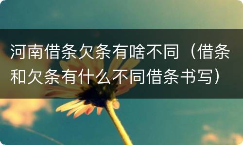 河南借条欠条有啥不同（借条和欠条有什么不同借条书写）