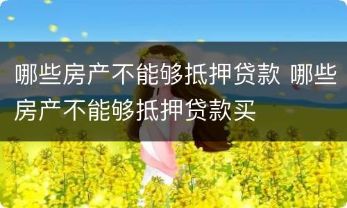 哪些房产不能够抵押贷款 哪些房产不能够抵押贷款买