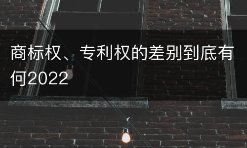 商标权、专利权的差别到底有何2022