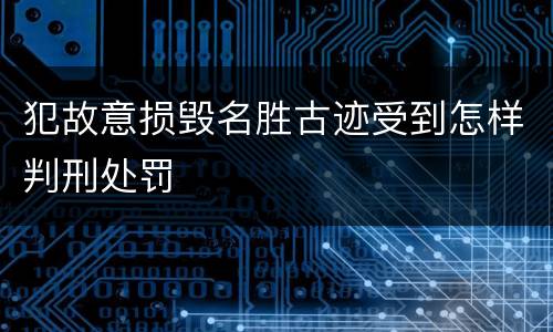 犯故意损毁名胜古迹受到怎样判刑处罚
