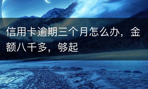 信用卡逾期三个月怎么办，金额八千多，够起