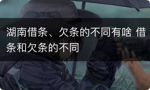 湖南借条、欠条的不同有啥 借条和欠条的不同