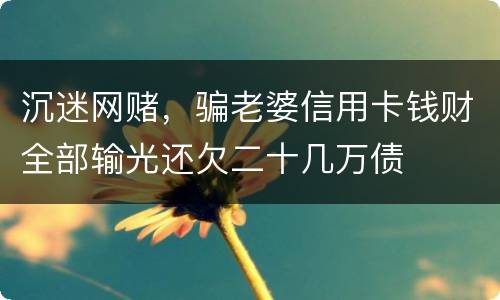 沉迷网赌，骗老婆信用卡钱财全部输光还欠二十几万债