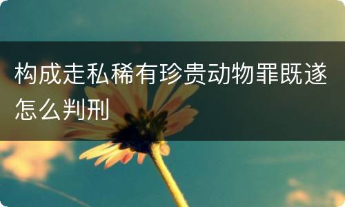 构成走私稀有珍贵动物罪既遂怎么判刑