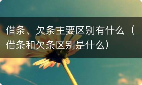 借条、欠条主要区别有什么（借条和欠条区别是什么）