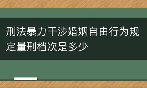 刑法暴力干涉婚姻自由行为规定量刑档次是多少