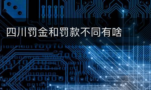四川罚金和罚款不同有啥