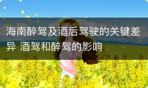 海南醉驾及酒后驾驶的关键差异 酒驾和醉驾的影响