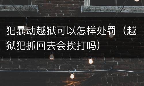 犯暴动越狱可以怎样处罚（越狱犯抓回去会挨打吗）