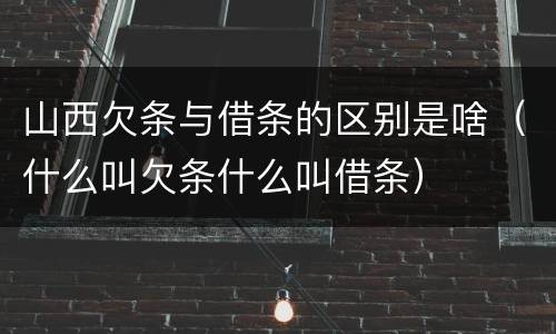 山西欠条与借条的区别是啥（什么叫欠条什么叫借条）