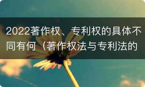 2022著作权、专利权的具体不同有何（著作权法与专利法的区别）