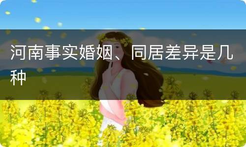 河南事实婚姻、同居差异是几种