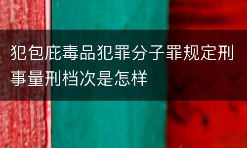 犯包庇毒品犯罪分子罪规定刑事量刑档次是怎样