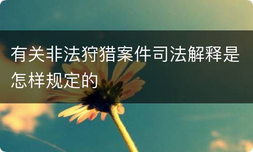 有关非法狩猎案件司法解释是怎样规定的