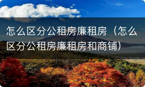 怎么区分公租房廉租房（怎么区分公租房廉租房和商铺）