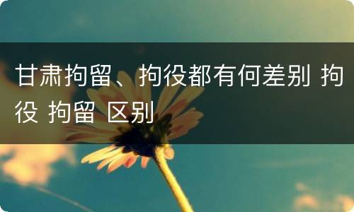 甘肃拘留、拘役都有何差别 拘役 拘留 区别
