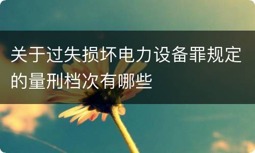 关于过失损坏电力设备罪规定的量刑档次有哪些