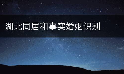 湖北同居和事实婚姻识别