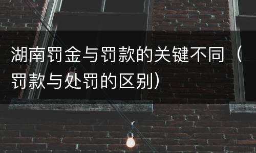 湖南罚金与罚款的关键不同（罚款与处罚的区别）
