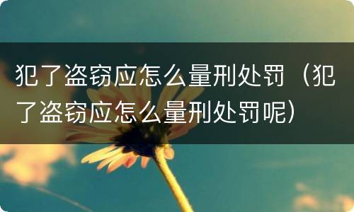 犯了盗窃应怎么量刑处罚（犯了盗窃应怎么量刑处罚呢）