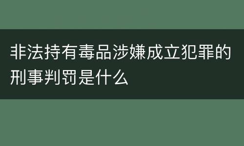 非法持有毒品涉嫌成立犯罪的刑事判罚是什么