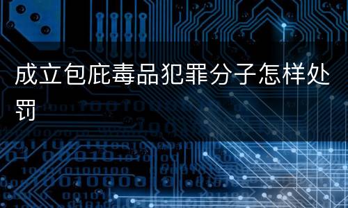 成立包庇毒品犯罪分子怎样处罚