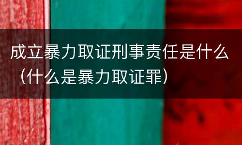 成立暴力取证刑事责任是什么（什么是暴力取证罪）