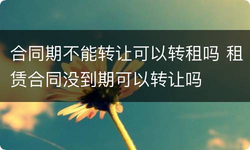 合同期不能转让可以转租吗 租赁合同没到期可以转让吗