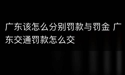 广东该怎么分别罚款与罚金 广东交通罚款怎么交
