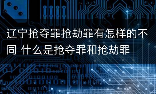 辽宁抢夺罪抢劫罪有怎样的不同 什么是抢夺罪和抢劫罪