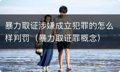 暴力取证涉嫌成立犯罪的怎么样判罚（暴力取证罪概念）