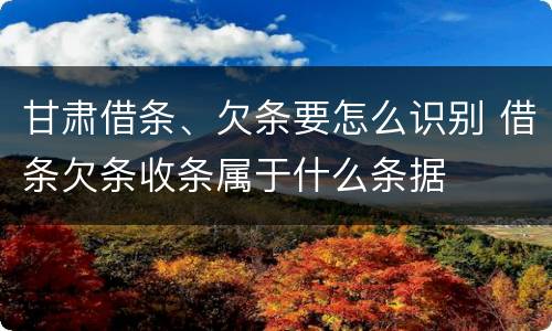 甘肃借条、欠条要怎么识别 借条欠条收条属于什么条据