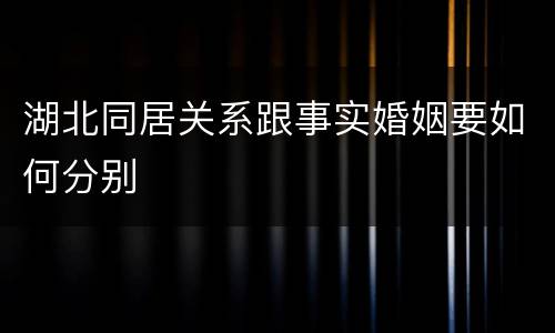 湖北同居关系跟事实婚姻要如何分别