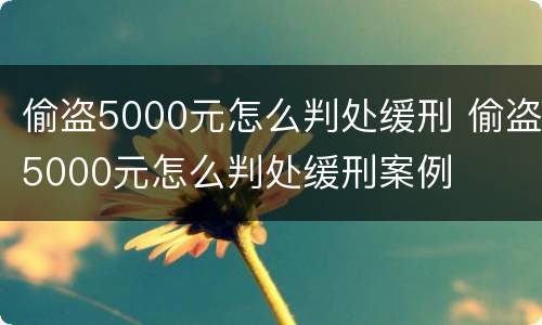 偷盗5000元怎么判处缓刑 偷盗5000元怎么判处缓刑案例