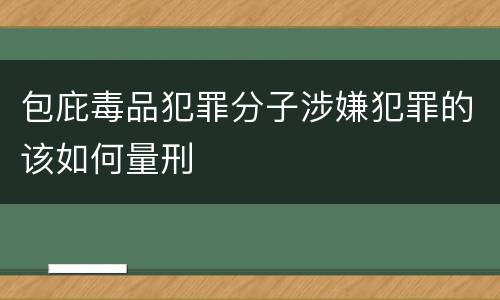 包庇毒品犯罪分子涉嫌犯罪的该如何量刑