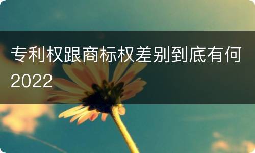 专利权跟商标权差别到底有何2022