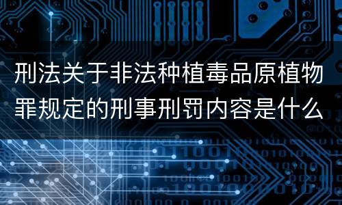 刑法关于非法种植毒品原植物罪规定的刑事刑罚内容是什么