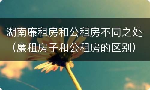 湖南廉租房和公租房不同之处（廉租房子和公租房的区别）