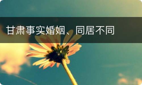 甘肃事实婚姻、同居不同