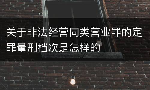 关于非法经营同类营业罪的定罪量刑档次是怎样的