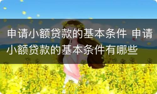 申请小额贷款的基本条件 申请小额贷款的基本条件有哪些