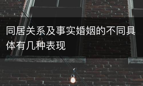 同居关系及事实婚姻的不同具体有几种表现
